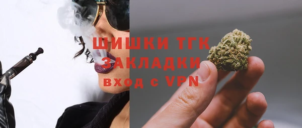 спиды Пестово