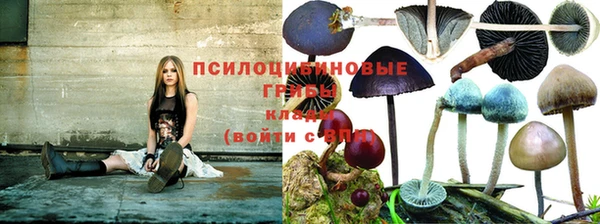 соль курить ск Переславль-Залесский